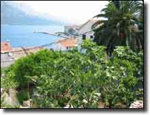 View from apartment
